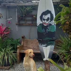 Prancha de Surf Doctor Surf Bunny Chow 5'11" branca com desenho do Coringa deck