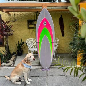 Prancha Surf 6'1" Cachorro Louco Doctor Surf