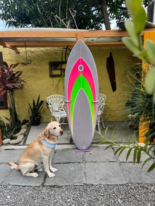 Prancha Surf 6'1" Cachorro Louco Doctor Surf