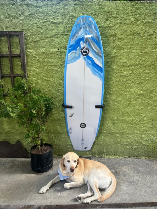 Prancha Surf 6'2" Biscoito Doctor Surf