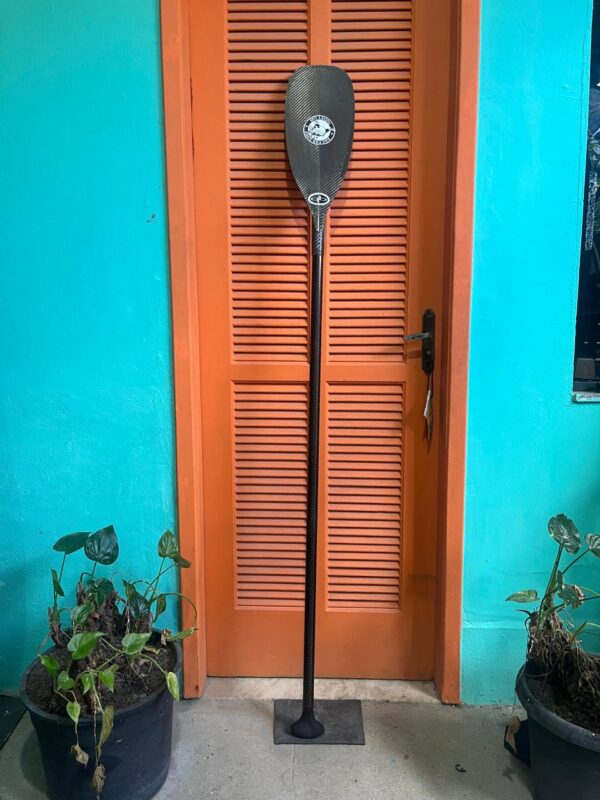 Remo SUP QB Full Carbon Seminovo