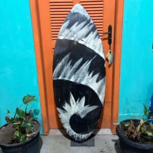 Prancha Skimboard Prime de Fibra Seminova